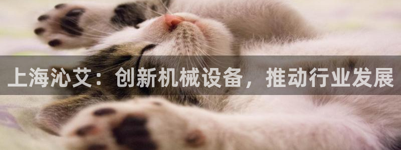 九游会官网在线