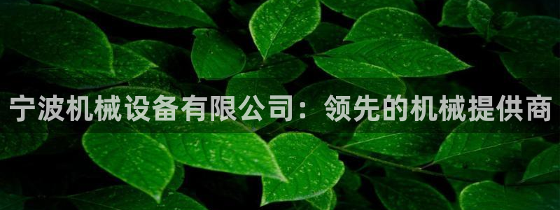 九游会app下载版官网正版手游