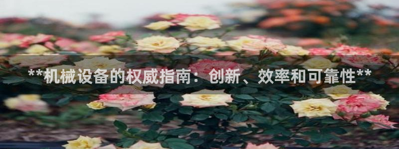 九游会直营