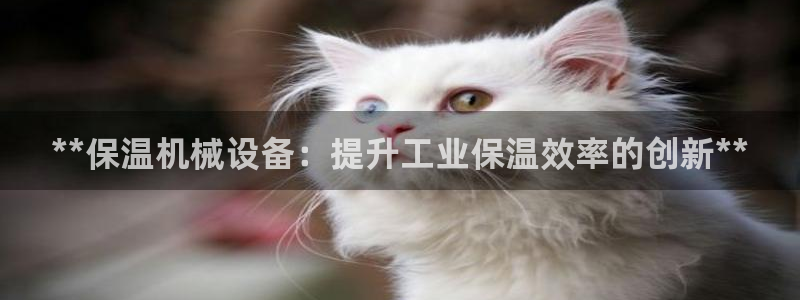 九游会提款安全吗