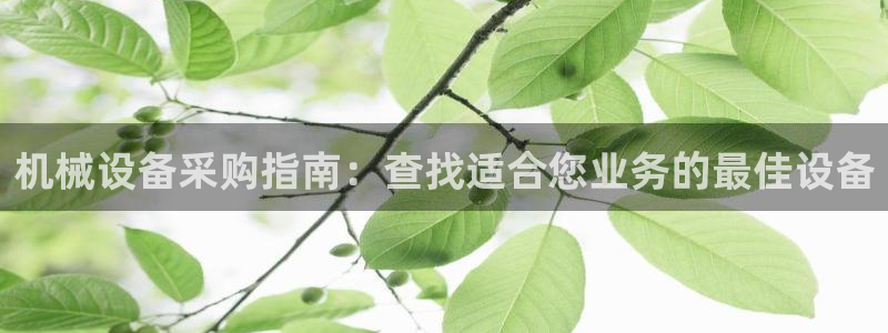 九游会官方视讯