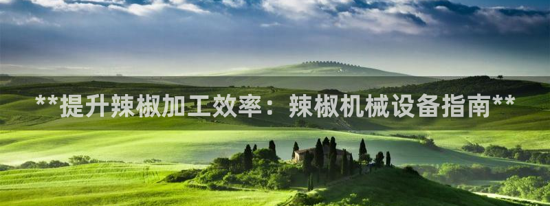 九游会j9