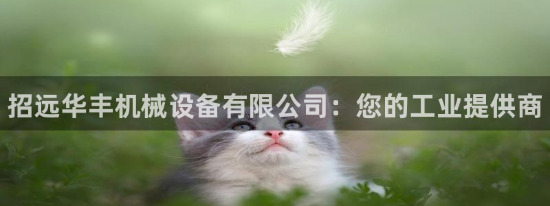 九游会集团