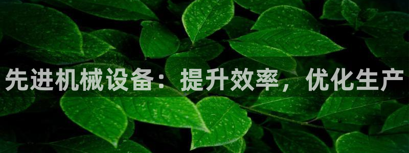 九游会老哥俱乐部官网首页论坛