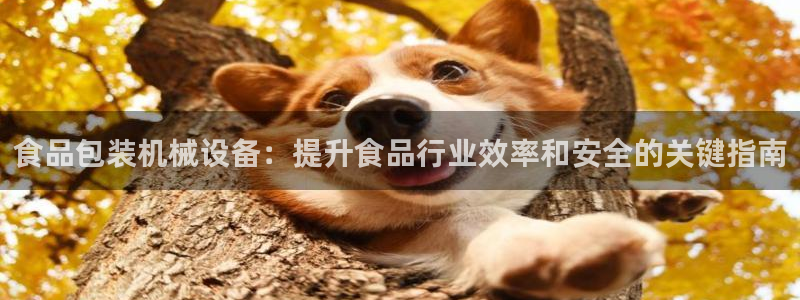 J9九游会能退款吗