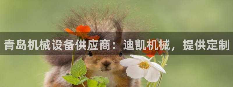 J9九游会国际站