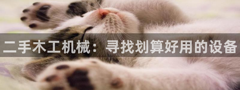 九游会倒闭吗?