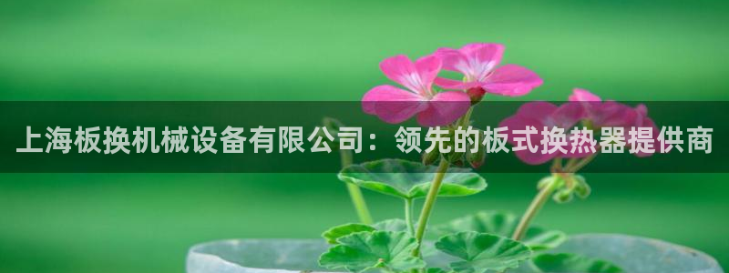 j9九游会首页登录新版