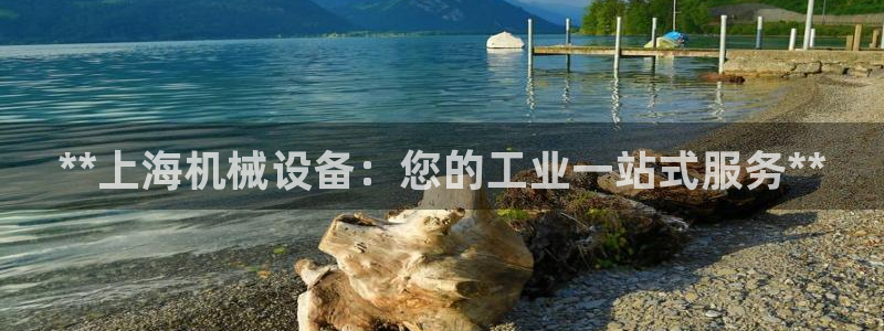 j9.cn