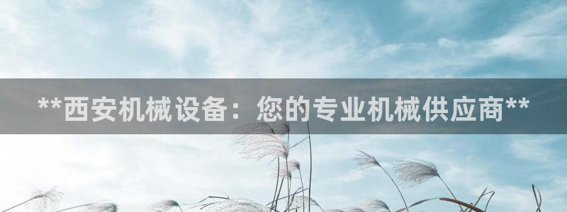 九游会国际站