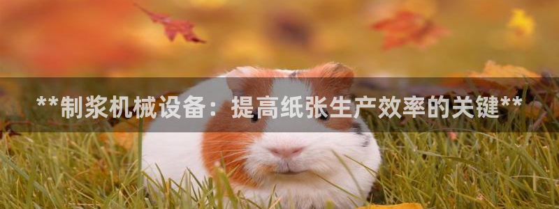九游会agapp