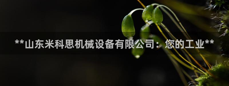 九游会vip