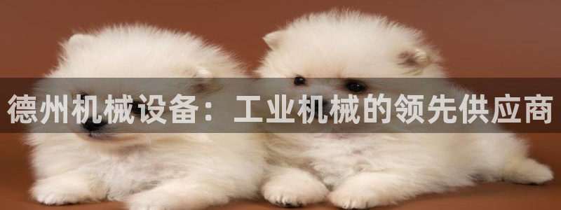 九游会ag老哥