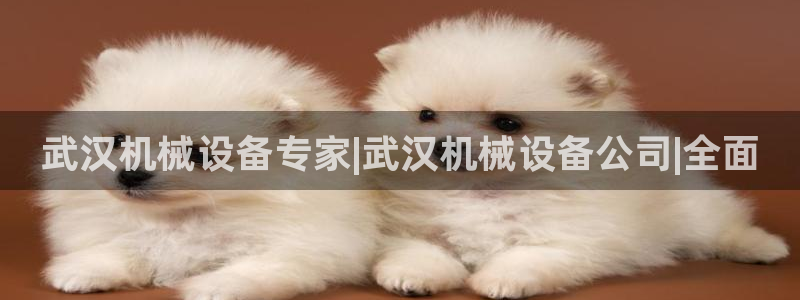 ag老帅百度百科