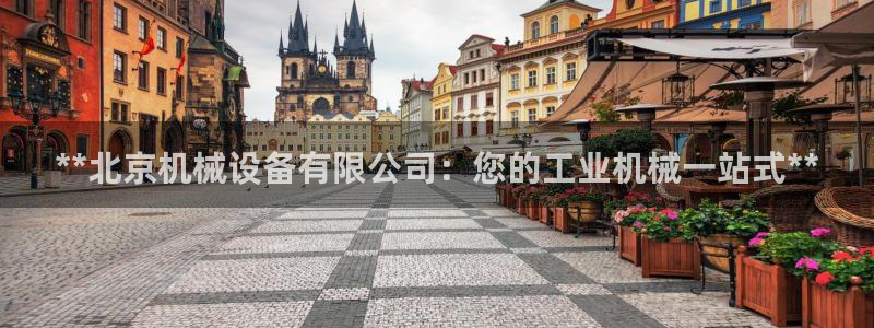 九游会中国j9 09.ag