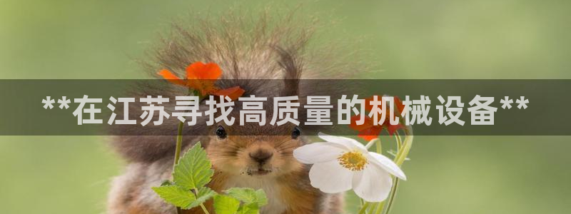 九游会官方选网址是j9.cm