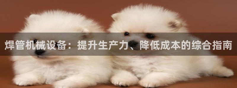 j9九游会vip