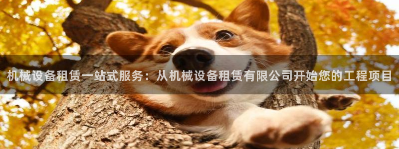 九游会平台登入