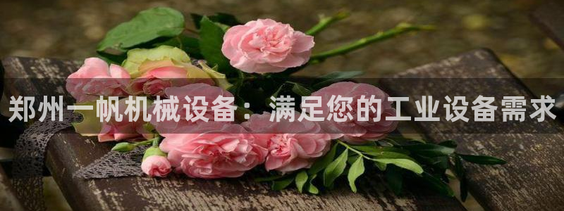 九游j9打不开