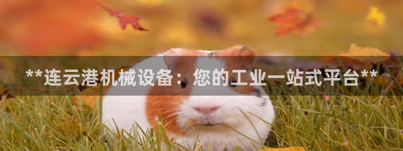 九游会是一个什么网站啊