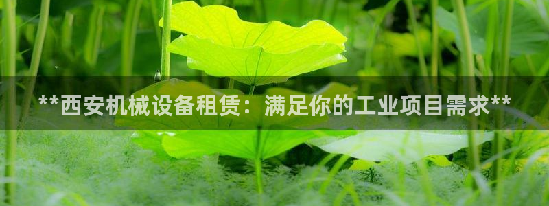 j9九游会官网入口