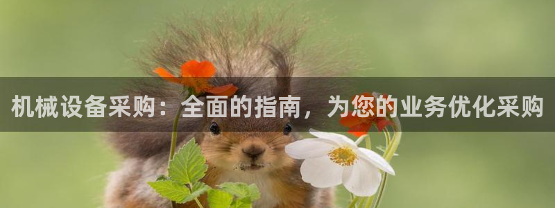 九游会官网app下载
