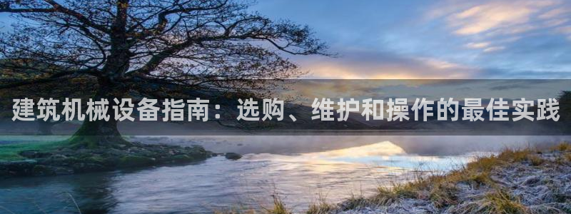 九游会平台怎么样