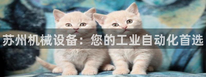 九游会这几天打不开了
