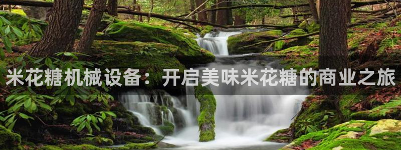 九游会网址九