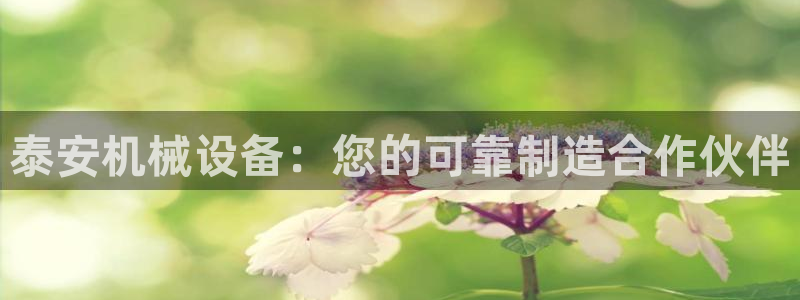 J9九游会国际
