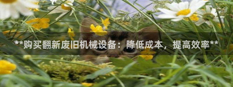 九游会官网地址