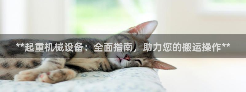 九游会官方链接