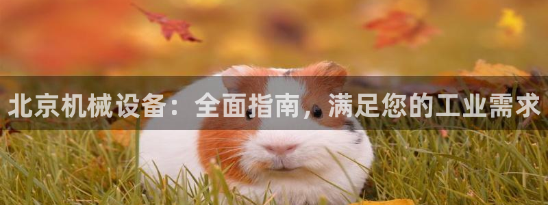 九游会在线官方