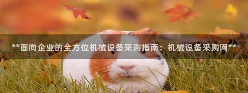 九游会网址是什么情况