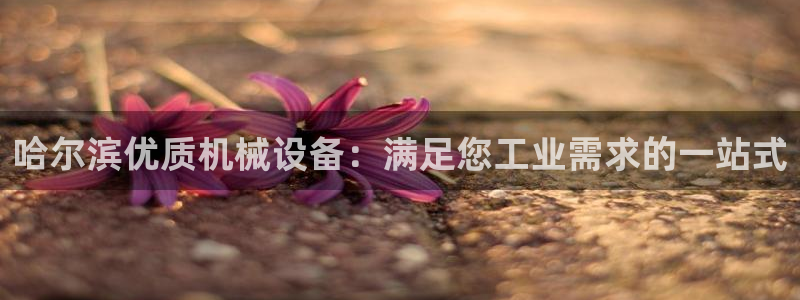 九游会vip