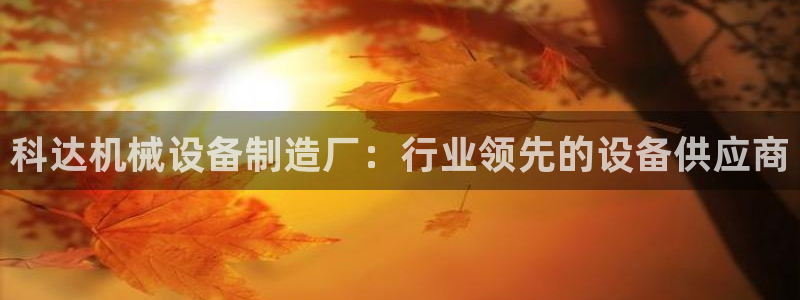 j9九游会游戏