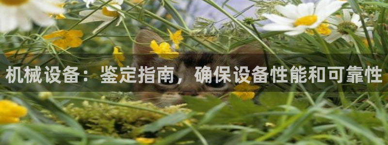 j9九游会官方网站国际怎么样