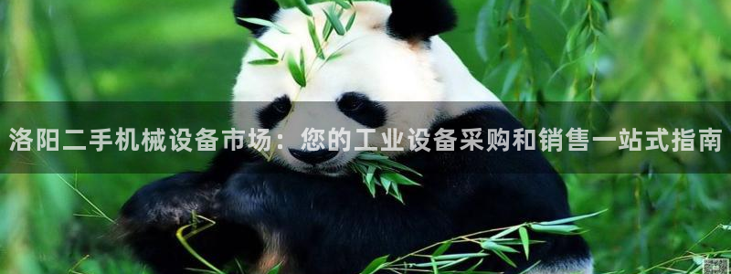 九游会老哥俱乐部官网首页论坛
