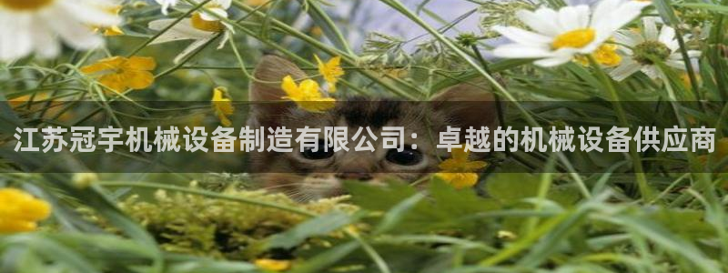 九游会游戏真人