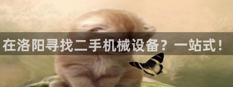 j9九游会官方网站国际
