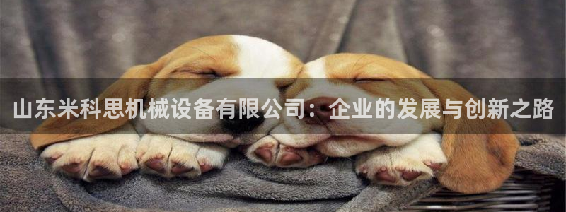 九游会官网真人认证吗知乎