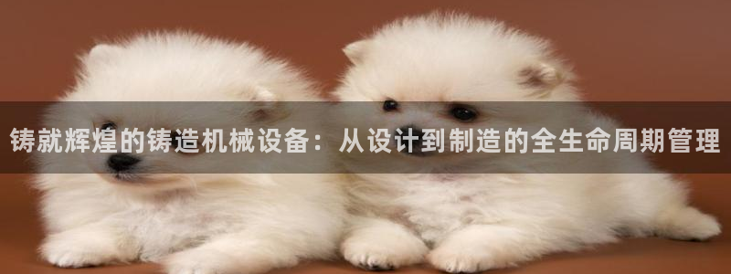 九游会是一个什么网站啊