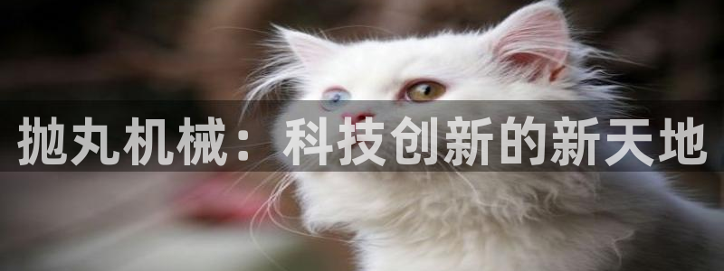 j9九游会真人手机版