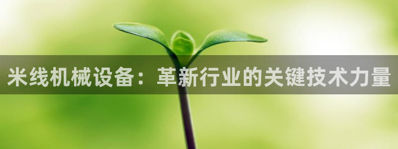 J9九游会是干嘛的