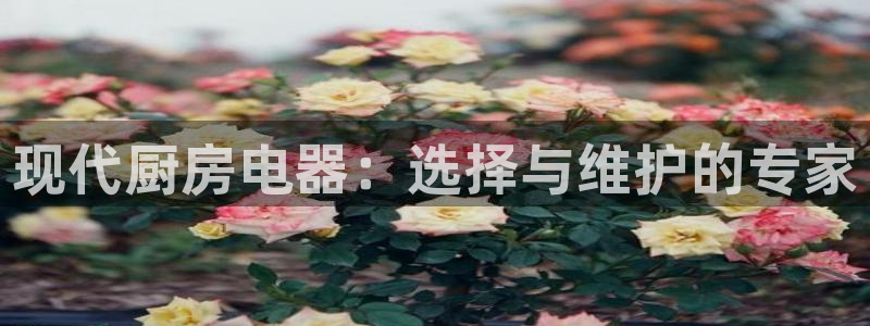 九游会官方下载