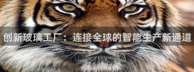 九游会ag老哥俱乐部入口