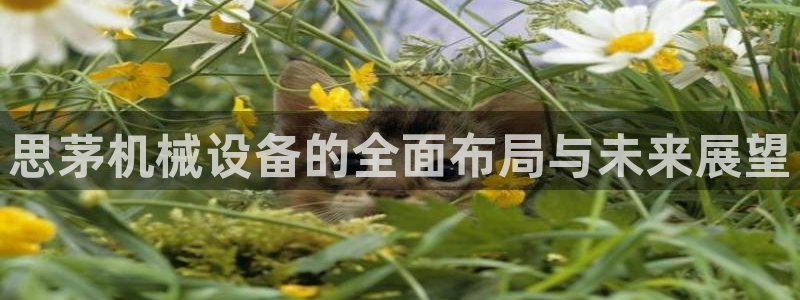 j9九游会app在哪里