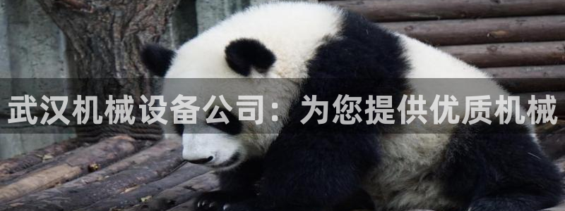 九游会网站登录