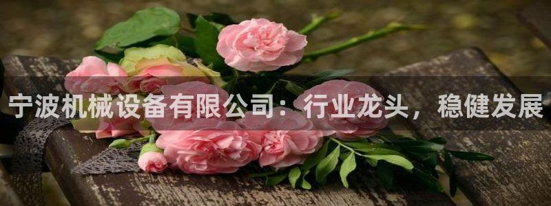 九游会官网登录中心入口