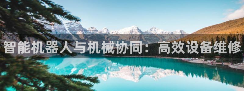 ag九游会登录中心